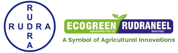Rudraneel Industries Pvt. Ltd.
